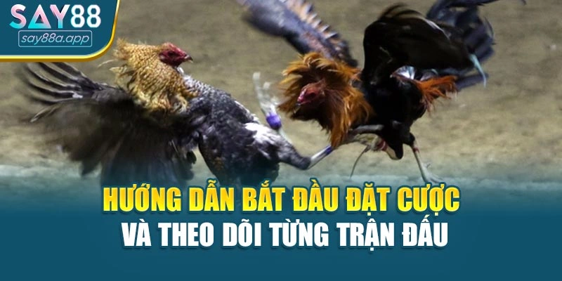 Hướng dẫn bắt đầu đặt cược và theo dõi từng trận đấu