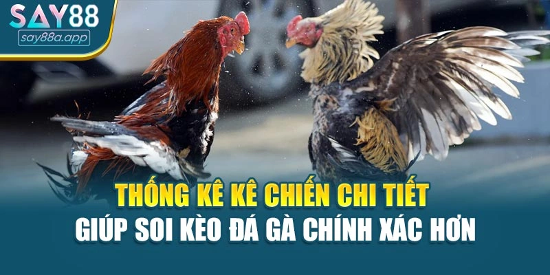 Thống kê kê chiến chi tiết giúp soi kèo đá gà chính xác hơn